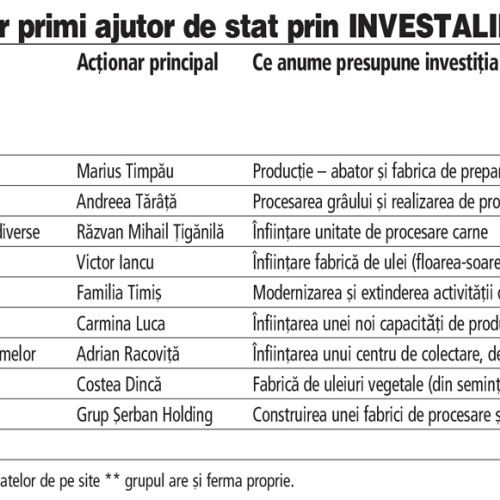 Guvernul României investește 4 miliarde de lei în noi proiecte prin programul INVESTALIM