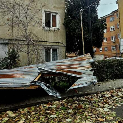 Vântul puternic a provocat pagube în Lugoj