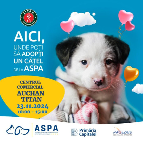 Târg de adopții organizat de Autoritatea pentru Supravegherea și Protecția Animalelor la Auchan Titan