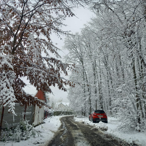 Meteorologii anunță o decembrie rece și cu precipitații