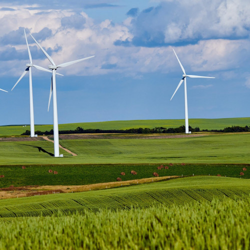 Vânzarea terenurilor Eolica Dobrogea S.R.L. va avea loc pe 18 decembrie 2024