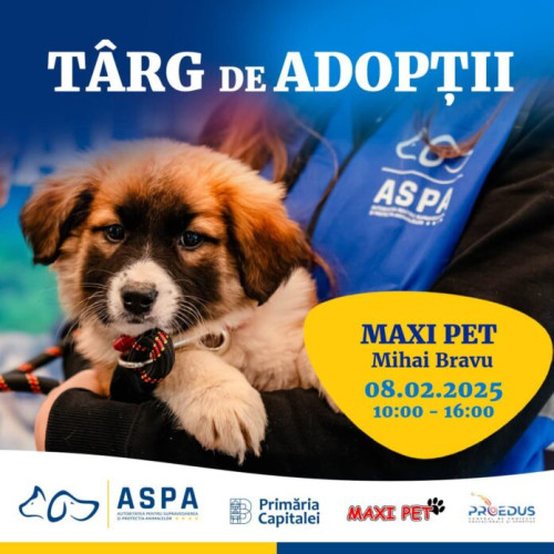 Primul târg de adopții de câini din 2023 la MAXI PET