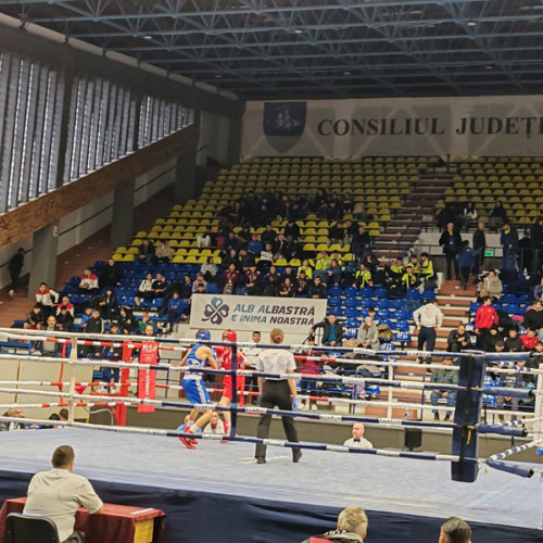 Boxul brailean strălucește la turneul internațional Dracula Open