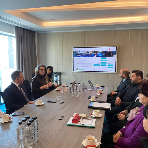 Proiect ambițios pentru industria fotovoltaică lansat la Brăila