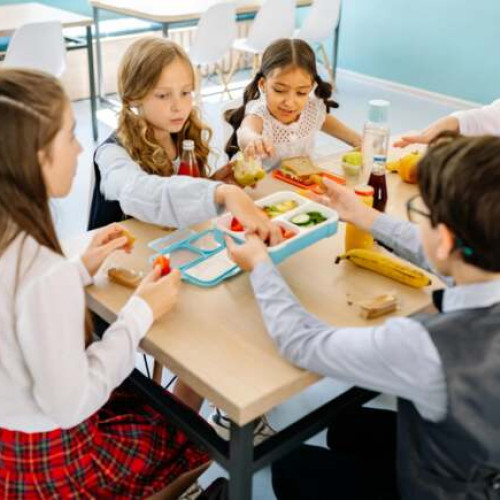 Programul "Masa Sanatoasa" sprijina elevii din Romania