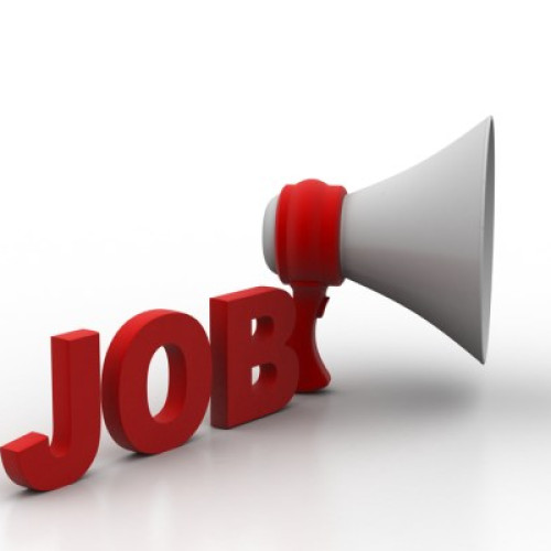 Oferte de muncă în Spațiul Economic European