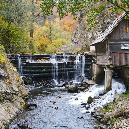 Studiul complexului mulinologic de la Rudaria, lansarea unei noi cărți