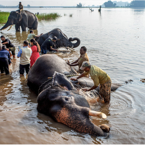 Vernisaje de artă fotografică la Oradea