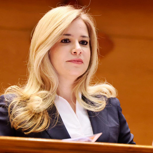 Motiunea de cenzură a eșuat în Parlament