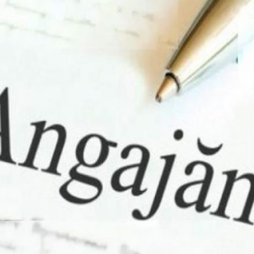 O firmă din Slatina angajează fără experiență