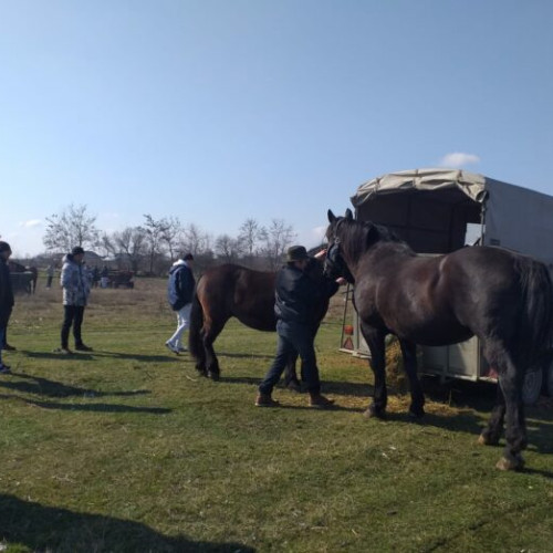 Sărbătoarea populară „Încurațul Cailor de Șan’ Toadere la Brancoveni”