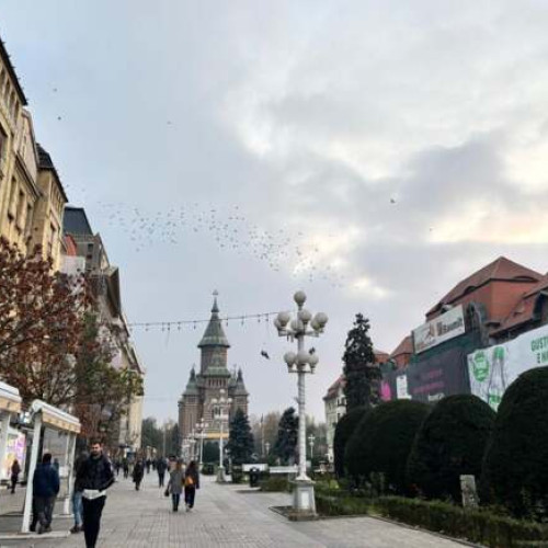 Amenințări în Timișoara: Poliția deschide un dosar penal