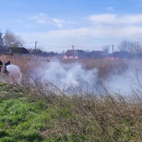 Creștere alarmantă a incendiilor de vegetație în județul Timiș