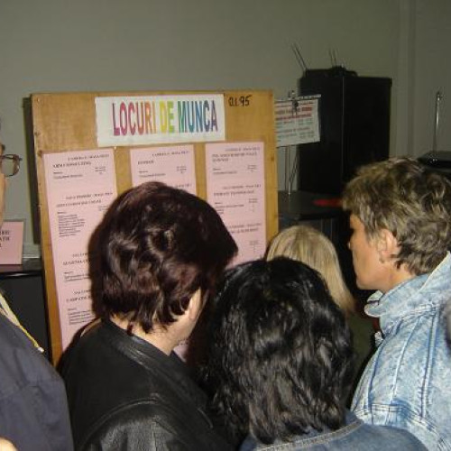 Cresterea numarului de aplicari pe eJobs.ro in 2023