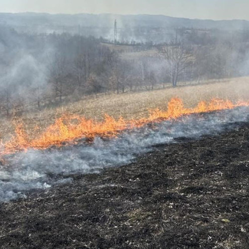 Intervenții de urgență ale pompierilor pentru stingerea incendiilor de vegetație în Caraș-Severin
