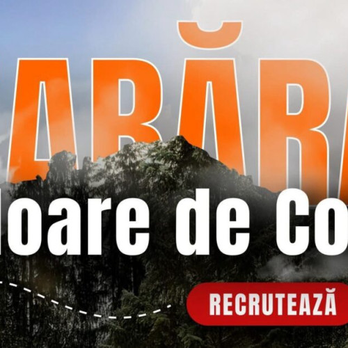 Tabăra "Floare de Colț" caută noi membri pentru organizarea activităților