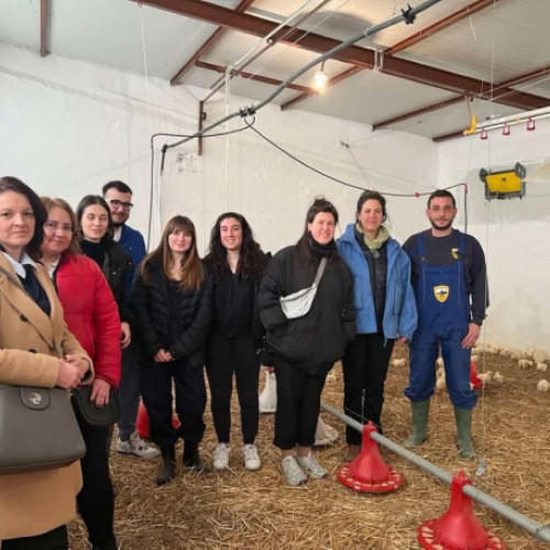 Universitatea din Oradea se implică într-un proiect internațional pentru educația adulților