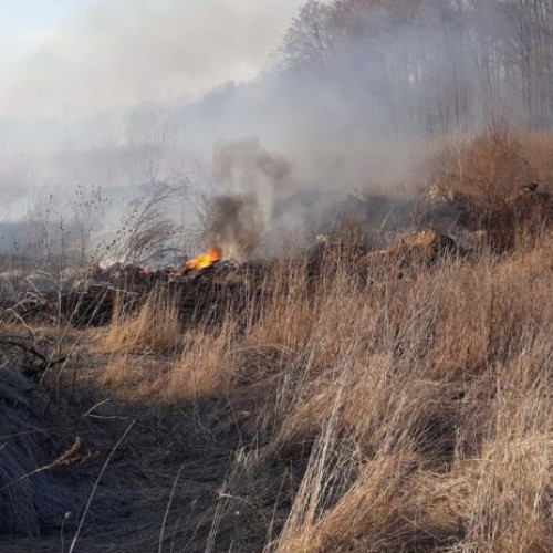 Fermierii din Vrancea avertizați cu privire la interdicția arderii vegetației