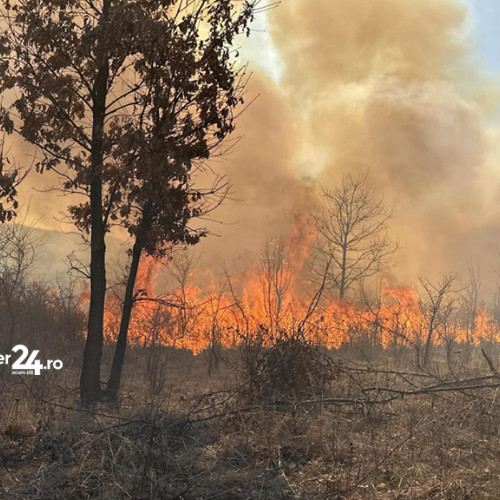 Incendiile de vegetație au devastat județul Caraș-Severin