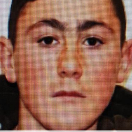 Dispariția unui băiat din Nerău, judetul Timiș