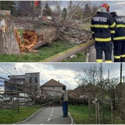 Intervenții rapide ale pompierilor din Timiș în urma fenomenelor hidrometeorologice