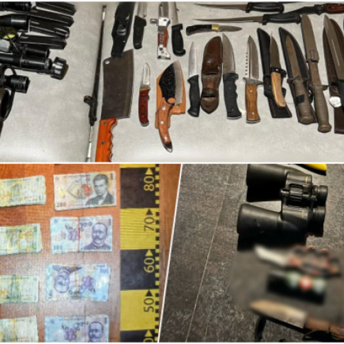 Acțiune de amploare a poliției în Timiș și Arad