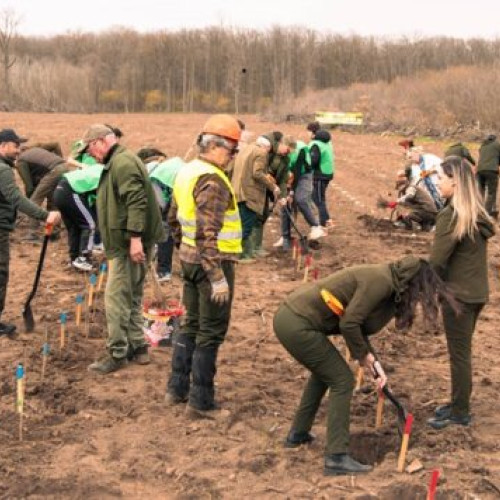 Romsilva a lansat Luna Plantării Arborilor printr-o acțiune de împădurire
