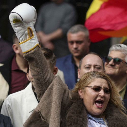 Diana Sosoaca contestă la Curtea Constituțională respingerea candidaturii sale