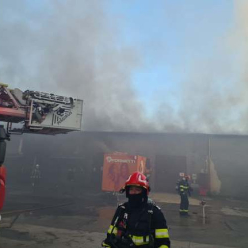 Incendiu la fabrica Fornetti din Hodoni