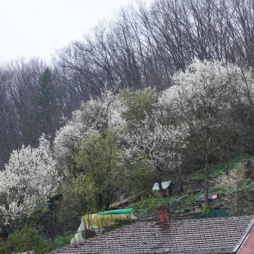 Administrația Națională de Meteorologie anunță vreme rea