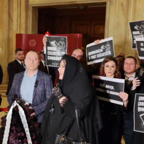 Diana Sosoaca, la Curtea Constitutionala pentru a contesta decizia BEC