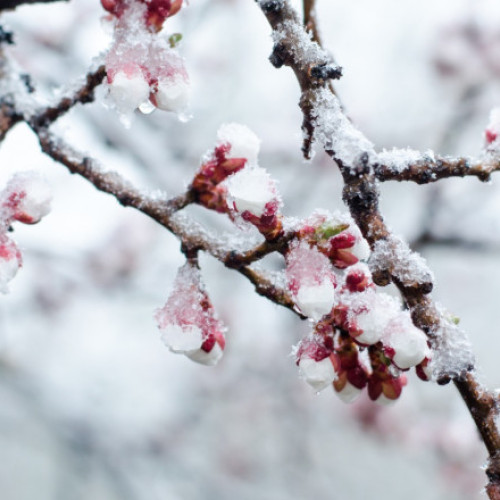 Codurile galbene de vreme rea afectează țara