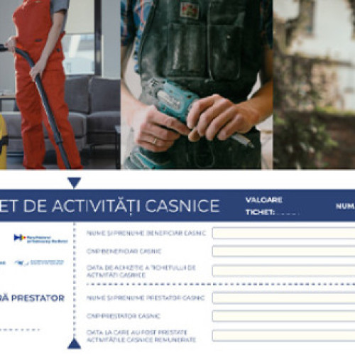 Numărul prestatorilor casnici din Harghita rămâne scăzut