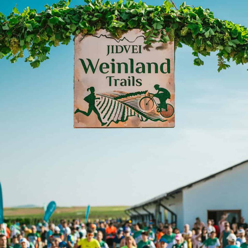 Iubitorii de alergare sunt invitați la Jidvei Weinland Trails
