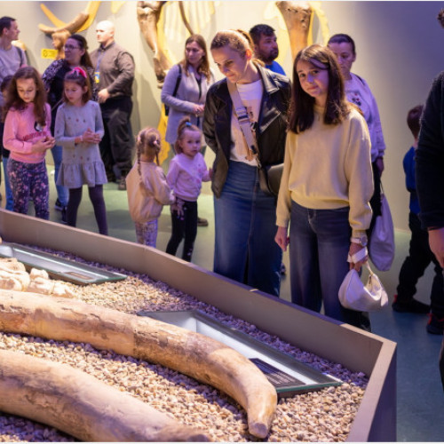 Noaptea Europeană a Muzeelor a avut loc pe 17 mai