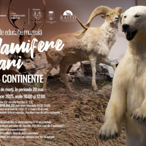 Atelierul "Mamifere mari din patru continente" la Muzeul Țării Crișurilor