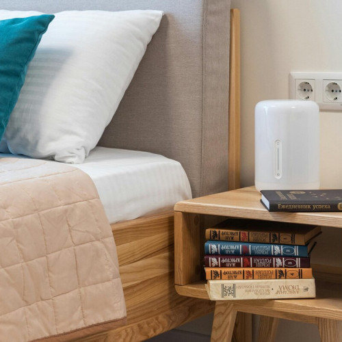 Umiditatea din locuință: Importanța menținerii unui nivel optim pentru sănătate