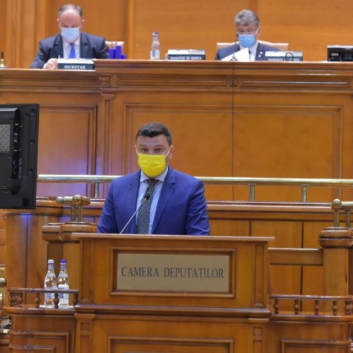 Deputatul Bîlcea face declarație pentru consolidarea identității europene