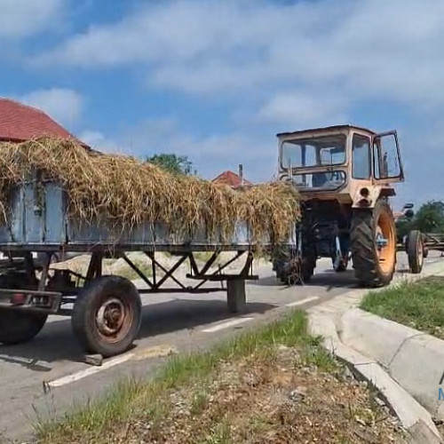 Accident rutier pe Drumul Județean 563 din Oprișor