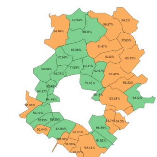 Nicușor Dan câștigă turul doi al alegerilor prezidențiale în Ilfov