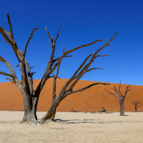Expozitia de fotografie "Am fost la capatul lumii" la Muzeul de Arta Vizuala Galati