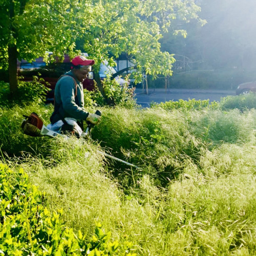 Activități de cosit în cartierele din oraș