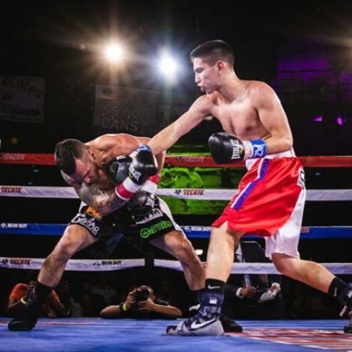 Boxul: reguli surprinzătoare și detalii fascinante