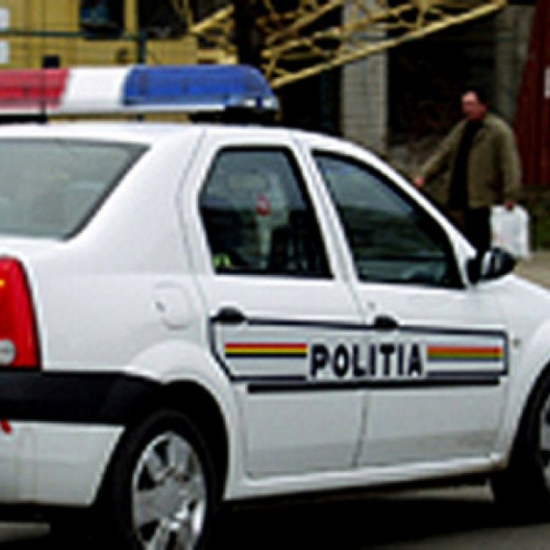 Doi bărbați din Olt, arestați după ce au agresat polițiști