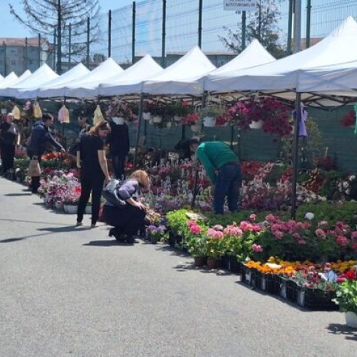 Expoziția florală „Expo Flora” revine la Slatina