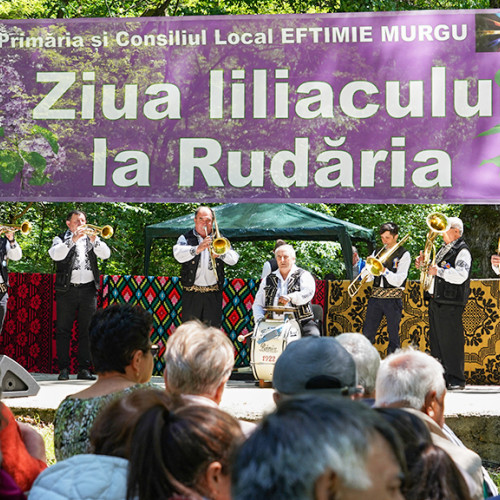Ziua liliacului revine în comuna Eftimie Murgu