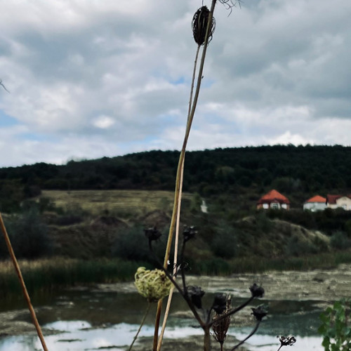 Administratia Bazinala de Apa Banat lansează un proiect inovator pentru mediu