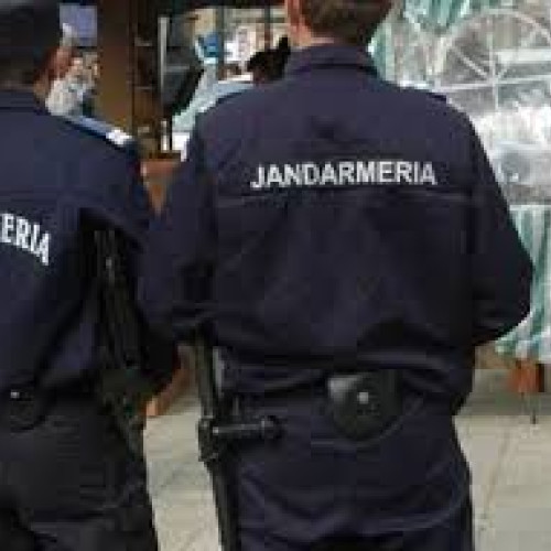 Jandarmii din Teleorman descoperă substanțe interzise în urma unei percheziții