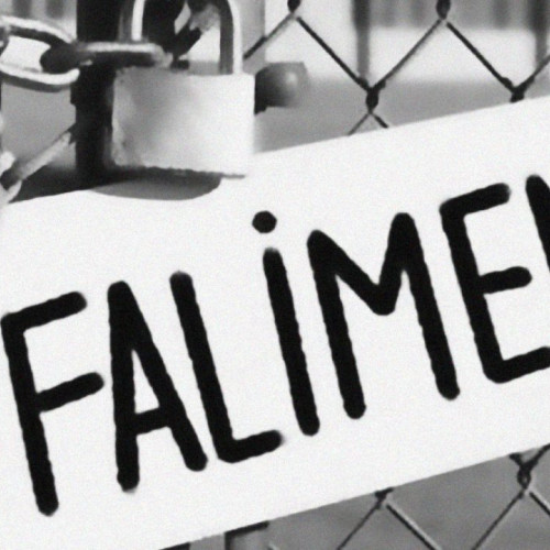 Firma din Botoșani intră în faliment