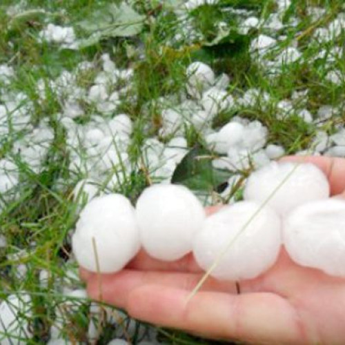 Veste bună pentru fermierii români: aplicația HailSens 360 a fost lansată în Europa